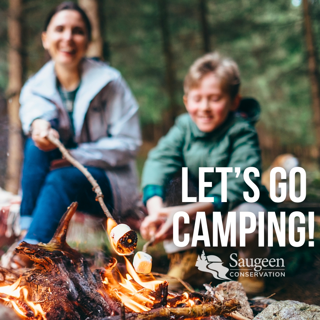 🏕️ It's official – camping season is here at Saugeen Conservation Areas! Ready for an affordable getaway in nature? Book your campsite now at saugeenconservation.ca/camping and enjoy a vacation in your own backyard. #CampingSeason #CampLocal #SaugeenConservation