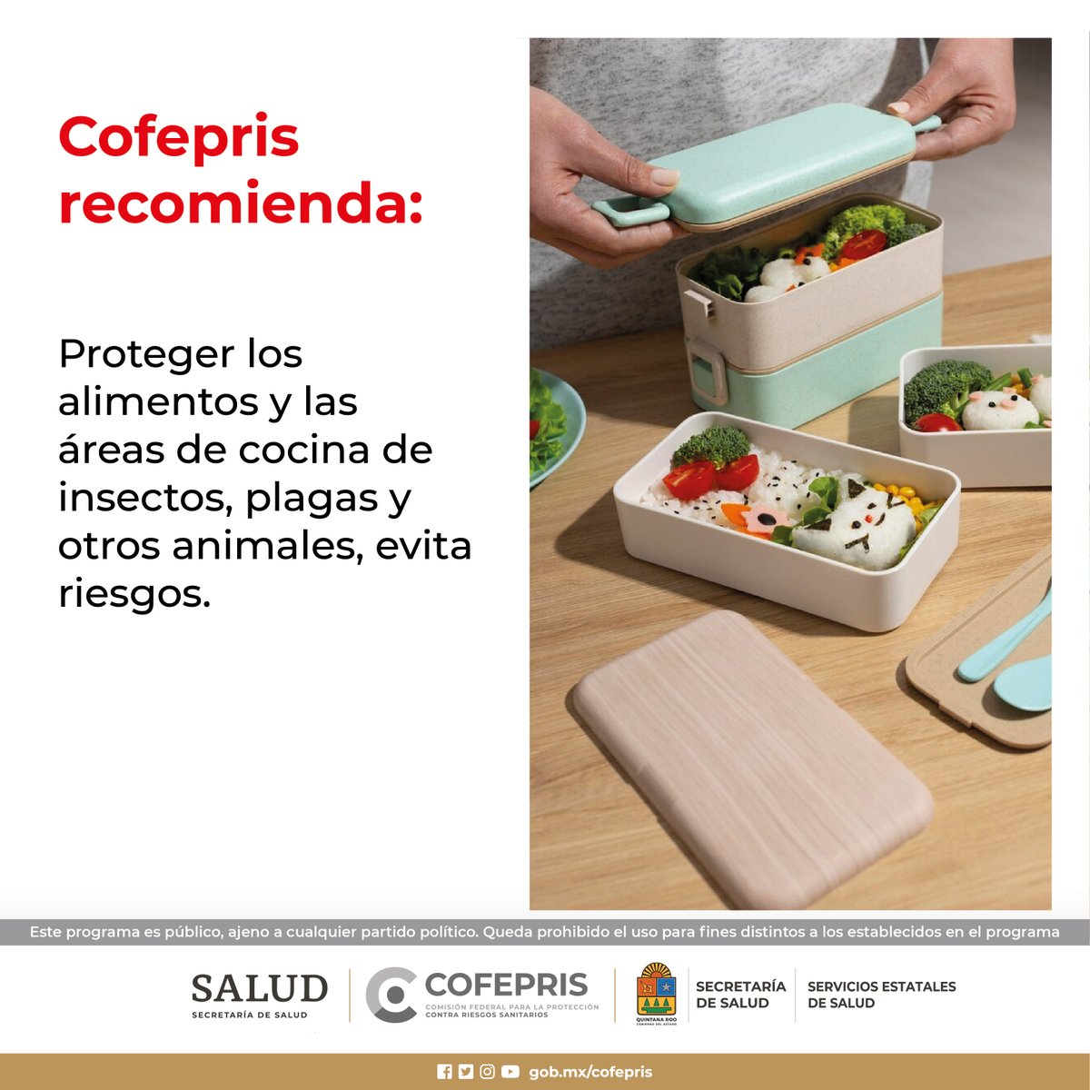 Proteger los alimentos y las áreas de cocina de insectos.
@COFEPRIS 
#CofeprisTeProtege
#cofepriságil
#CofeprisJusta
#CofeprisTransparente
#Emergencias
#DprisQroo