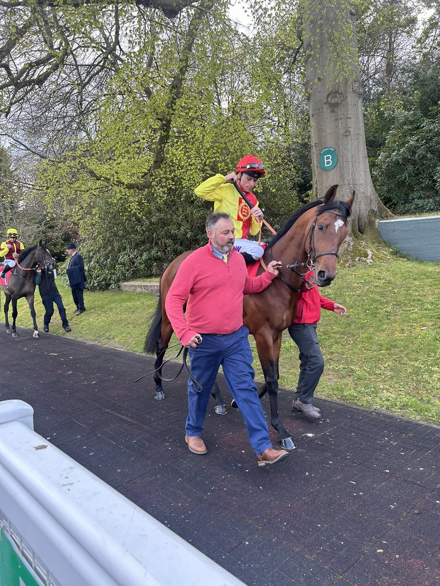 Goodwood Odyssey @meonvalleystud @DavidMenuisier @Sandownpark WINNER 🥇🐎