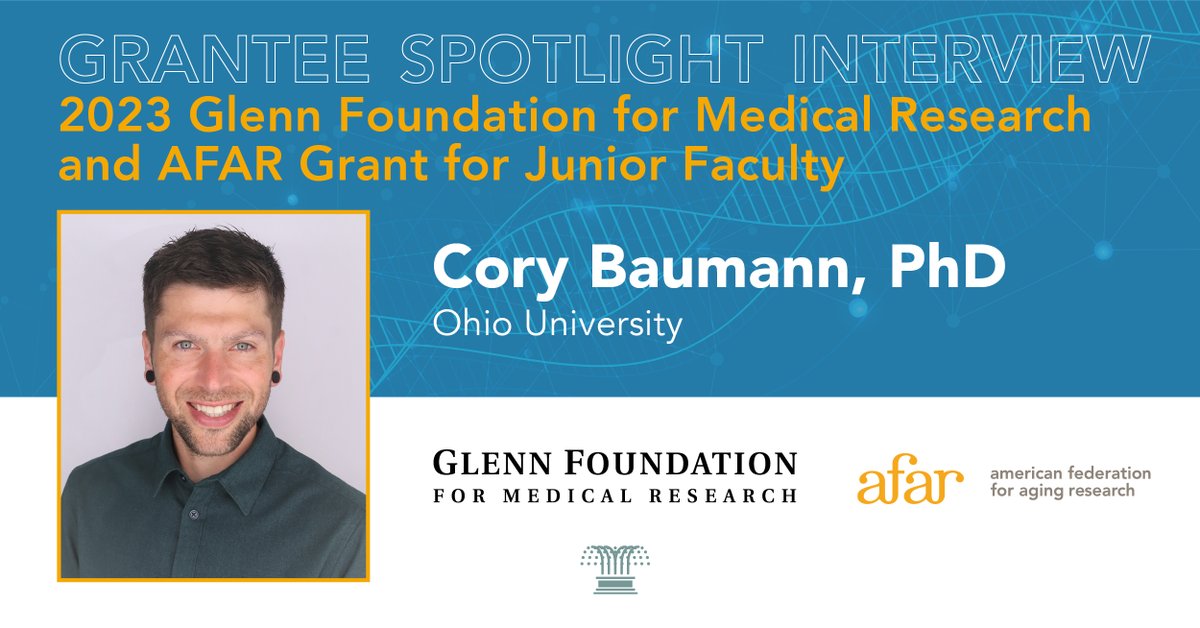 In this #Grantee Spotlight Interview, 2023 Glenn Foundation for Medical Research and AFAR Grants for Junior Faculty recipient Cory Baumann, PhD of @ohiou speaks on what inspires his AFAR supported #agingresearch. 
Read more here: ow.ly/IyrJ50Ro0fA #healthspan #longevity