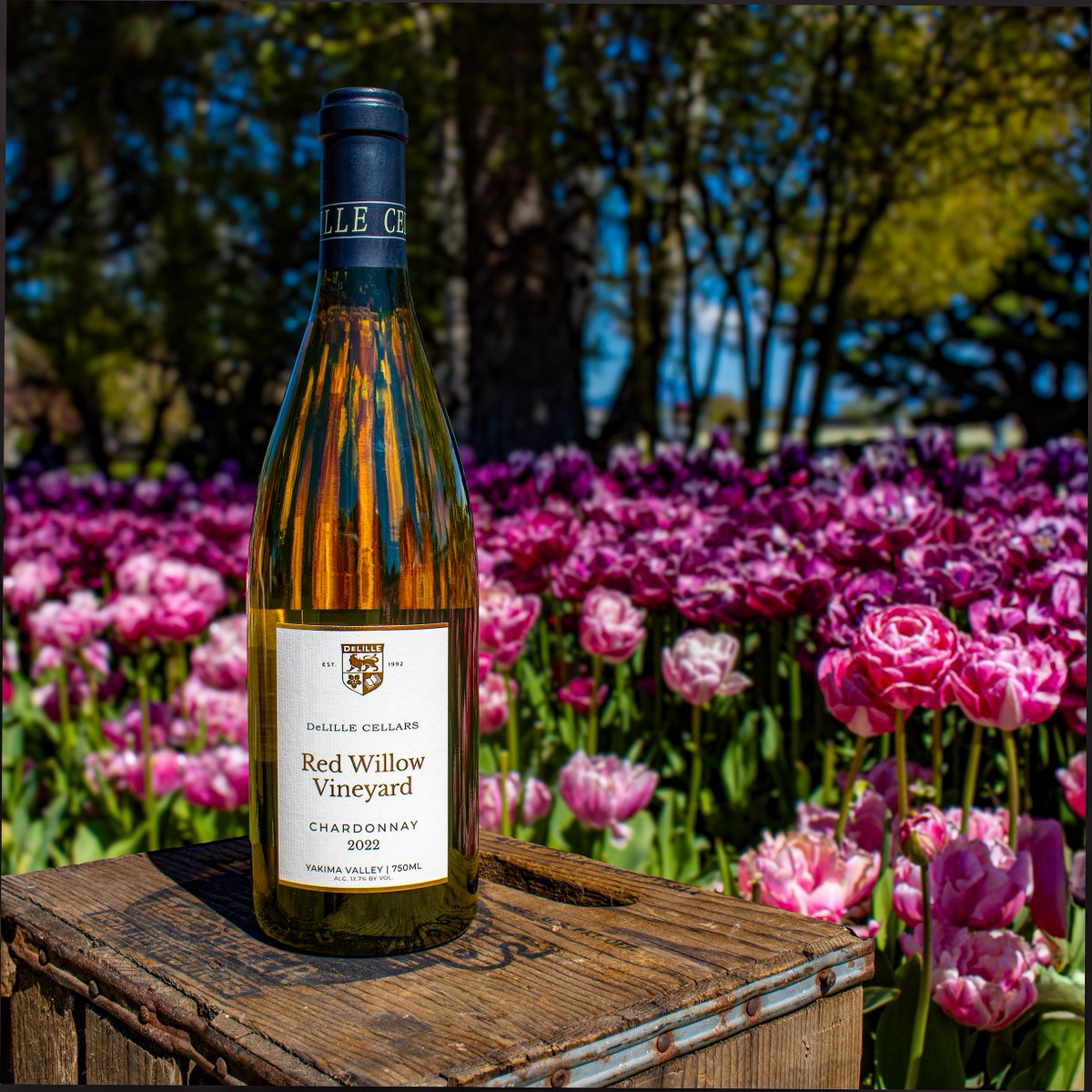 Announcing our 2022 Red Willow Chardonnay! Our longstanding partnership with Red Willow vineyard has helped us produce our newest single vineyard wine, which showcases citrusy, tropical notes balanced by bright acid and buttery notes. Find it here: delillecellars.com/wine/2022-red-…
