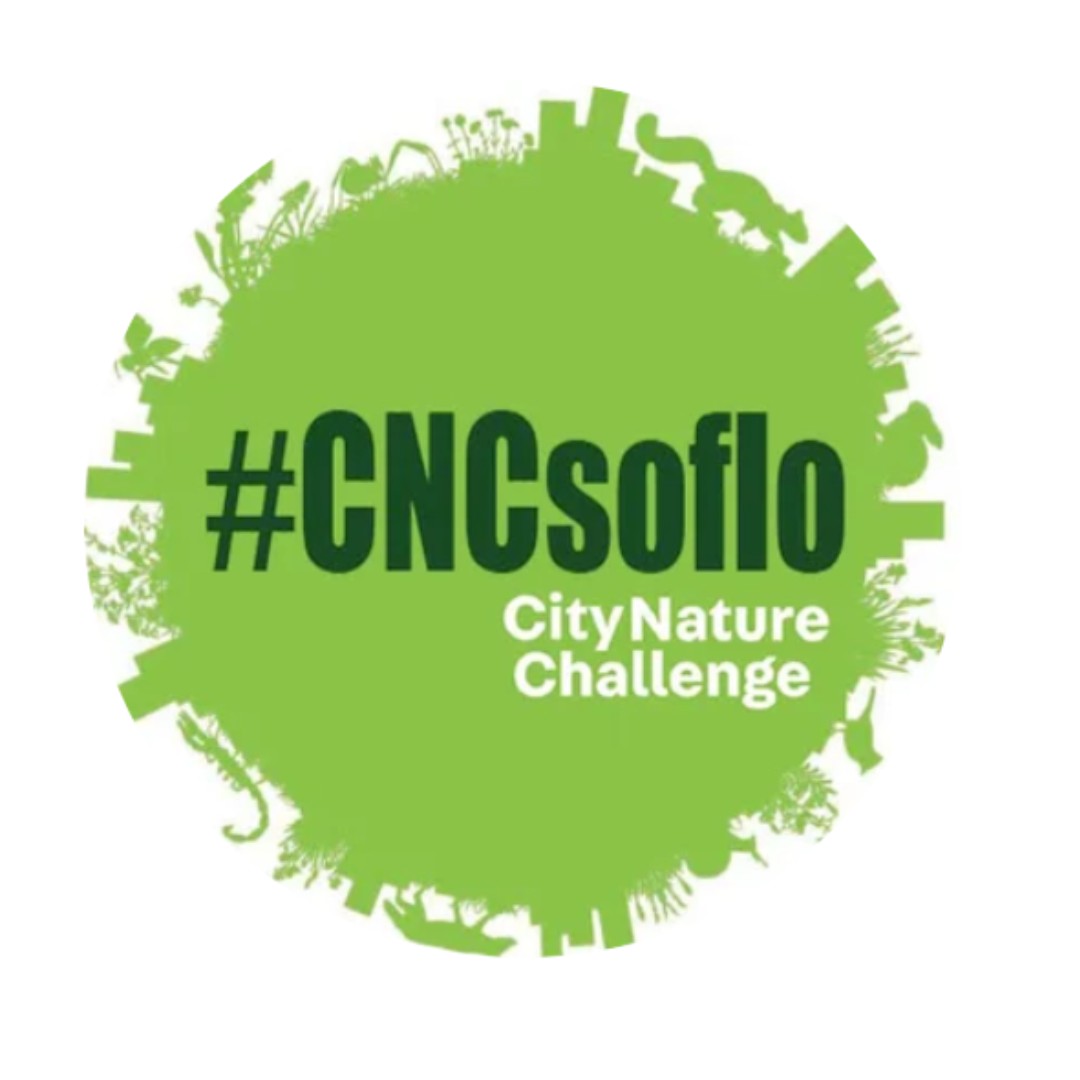 Join the City Nature Challenge to document 📸plants and wildlife in cities across the globe!  We use iNaturalist to document all the wildlife 🐢🐚🌱 that you see from 4/26 to 4/29 in Broward County ➡️cncsoflo.com

#browardcounty #southflorida #citynaturechallenge