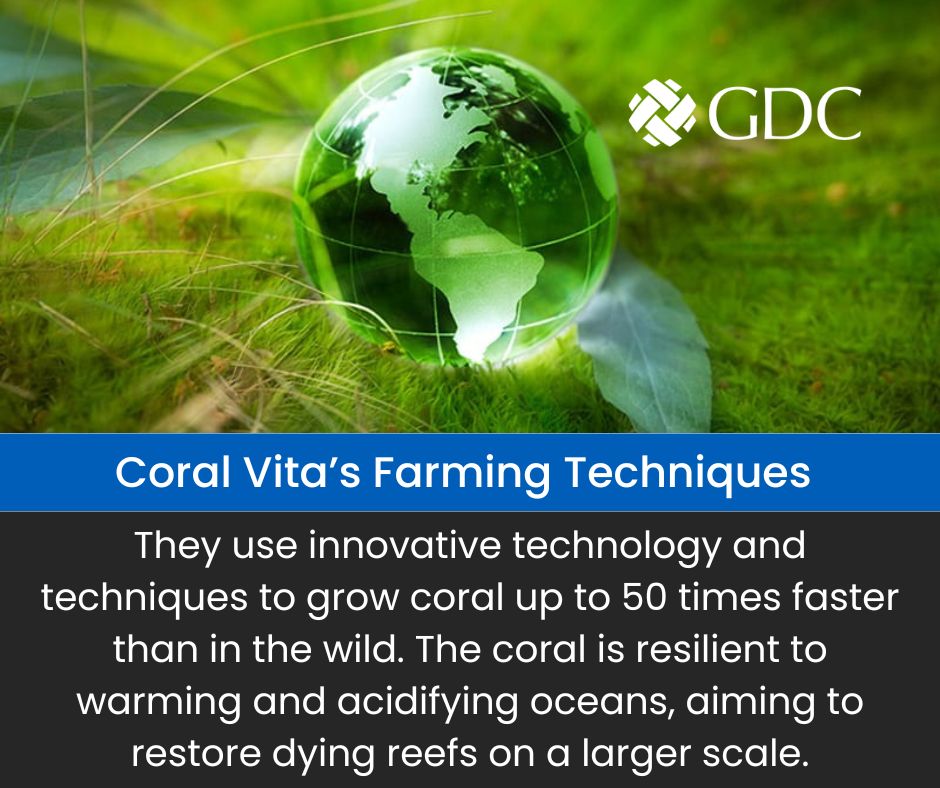 Coral Vita is revolutionizing coral restoration! Their on-land coral farms grow corals 50x faster, making them resilient against warmer, acidic oceans. Let's support their mission to restore our dying reefs! #CoralConservation #EcoInnovation