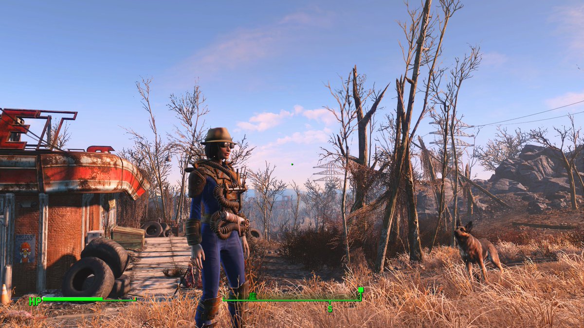 Meet Zuri ♡ #fallout4 #dogmeat #firstplaythrough