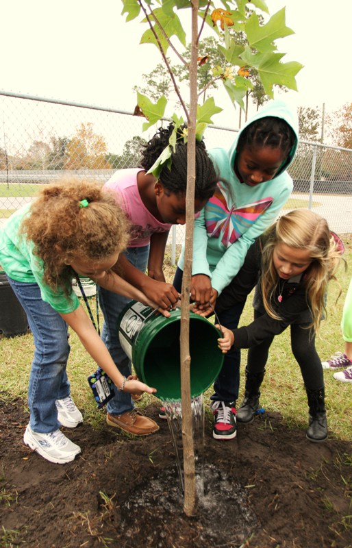 JEA and seven other Florida utilities have been recognized as a Tree Line USA Utility for adhering to best practices in utility arboriculture. Thanks to the GreenReleaf partnership with @greenscapeofjax, JEA has planted 266 trees this fiscal year! 🌳 #ArborDay #UrbanForestry