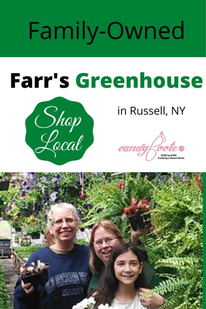 Farr's Greenhouse 2024 Season
candyfoote.club/farrs-greenhou…
#candyfooteclub #strategicshopping #onthehomestead #backyardgardening