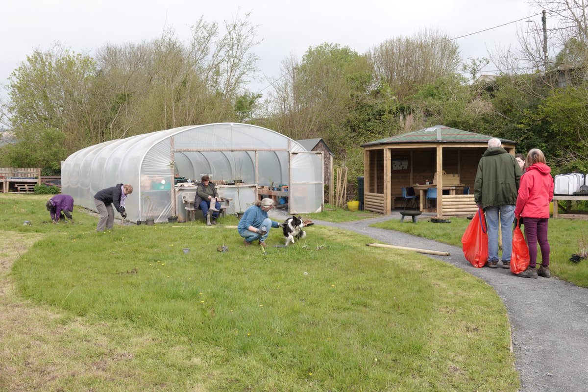 Wonderful day today down at the wildlife garden with volunteers. We were planting out hundreds of wildflowers in the meadow and wetland areas around the pond. Thank you to all the volunteers for helping and for all the people who stopped by to say hello.