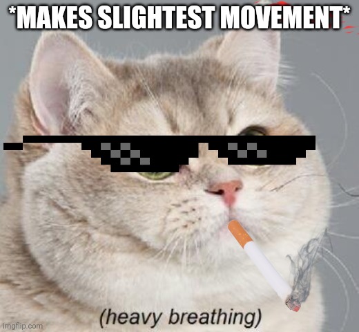 catpuffcoin tweet media