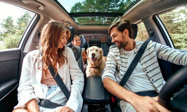 Ensuring peace of mind and protection on every adventure. Car insurance is a must-have for worry-free road trips. 

#CentralCarolinaInsurance #NorthCarolinaInsurance #NCInsurance #NorthCarolinaBusiness #RiskManagement #UmbrellaInsurance #InsuranceAgency #PersonalInsurance #Bus...