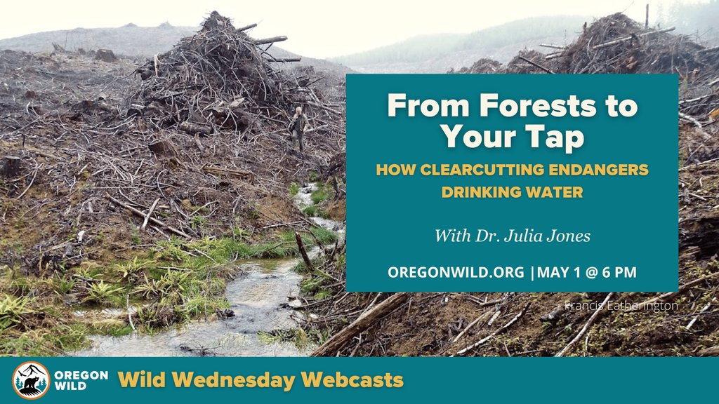 🌲Don't miss our Wild Wednesday Webcast with Dr. Julia Jones, where we'll explore how forest practices affect drinking water. Register now to learn more and join the conversation! #ForestManagement #WaterQuality #ClimateAction oregonwild.org/events/webcast…