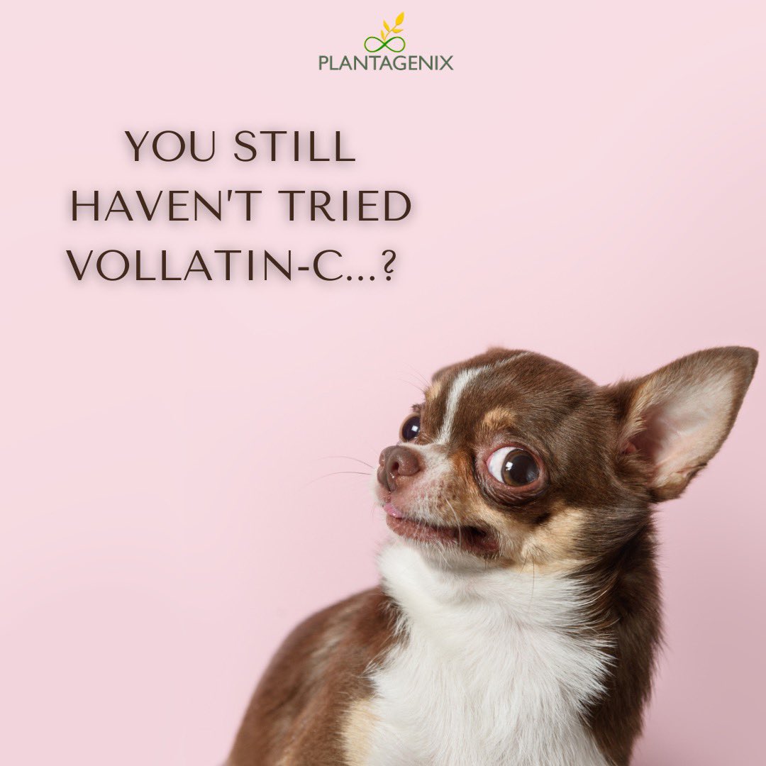 Seriously, what are you waiting for? Vollatin-C is the future of collagen. Don't miss out, get yours now! #vegancollagen #getwiththeprogram