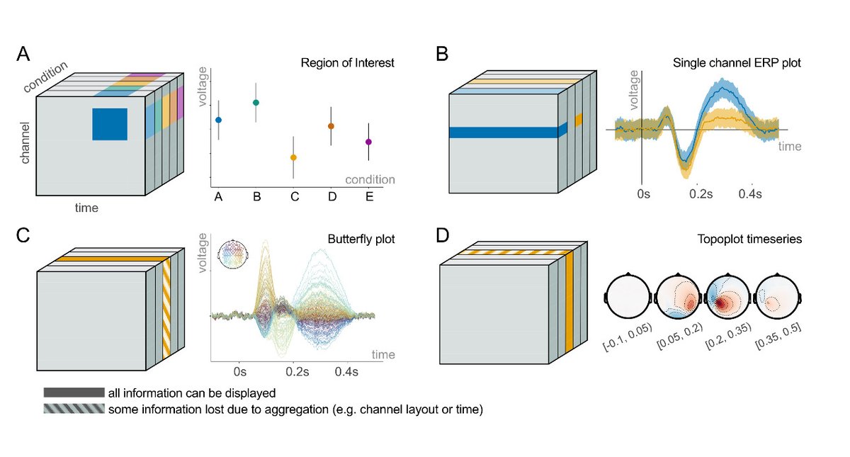 In our recent publication, @veehimrimidal et al. surveyed M/EEG practitioners on their use of ERP plotting tools, highlighting common challenges and controversies doi.org/10.52294/001c.… @BenediktEhinger @fMRI_today @mallarchkrvrty1 @OHBM