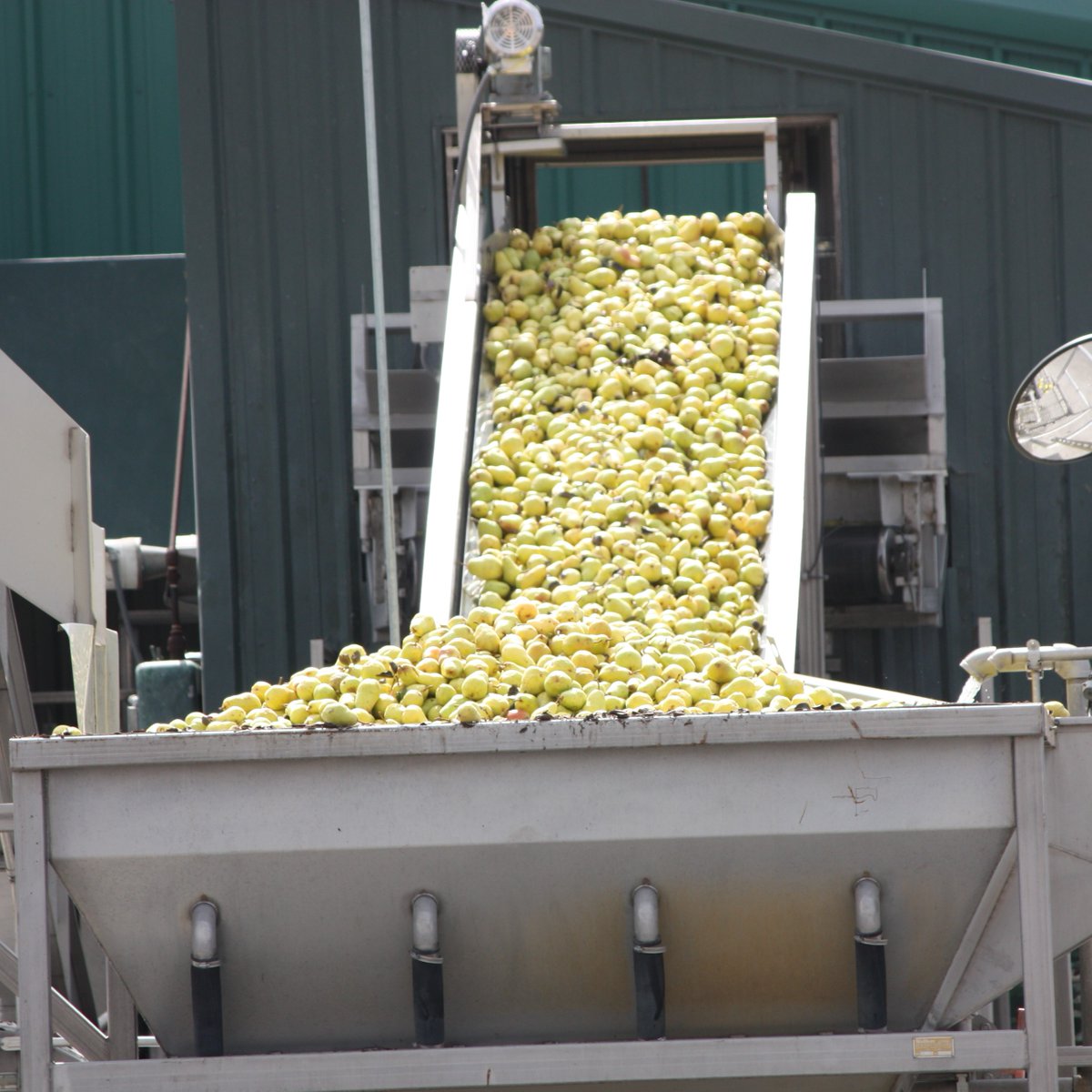 From tree to can. We couldn't do it without our Pacific Northwest Bartlett pear growers and local canneries on this #ArborDay. #ThankAFarmer
