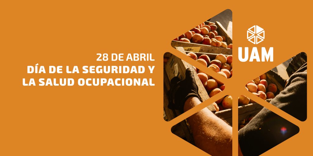 En la UAM creamos entornos de trabajo más seguros y saludables para todas y todos. La prevención de accidentes y enfermedades laborales no solo protege a nuestros trabajadores y trabajadoras, sino que también nos fortalece como comunidad. UAM, donde crece tu bienestar.