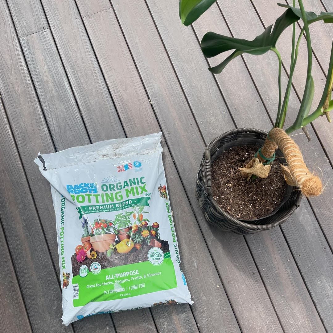 Did you know that it’s recommended to replace your houseplants' soil every 12-18 months? 🪴

Packed with 100% organic ingredients that are guaranteed to grow bigger and better plants, our peat-free potting mix is here to tackle any repotting, seed starting or indoor garden job.