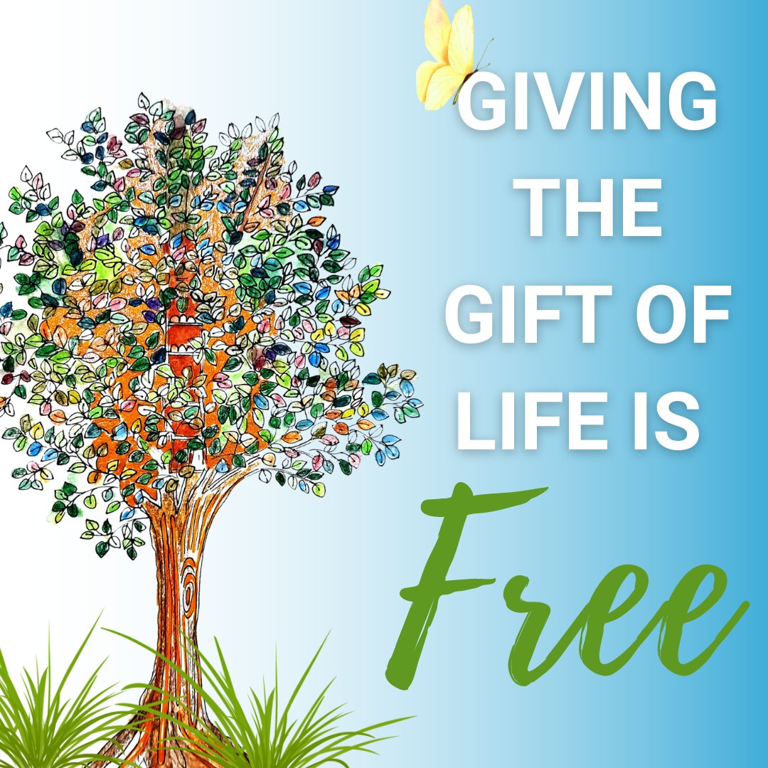 Empowering change without breaking the bank. 💸 Help give someone in need the gift of life through your generous donation. It's a priceless act, but means everything. 💙💚 #organdonation #organdonationawarness #donatelife #DonateLifeMonth