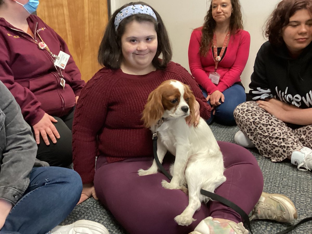Students in Hudson welcomed two new students last week, Jack & Mazi, #TherapyDogs in training! They will join their older brother Ziggy to work with students & help reduce stress and anxiety while enhancing the overall academic experience for students. #QuestarIII #BOCES