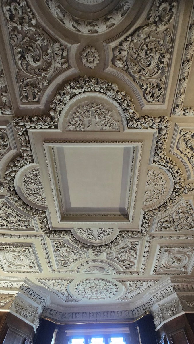 Such beauty in Dunster Castle's dining room ceiling. A testament to exquisite craftsmanship and intricate design. #DunsterCastle #Dunster #DunsterInfo