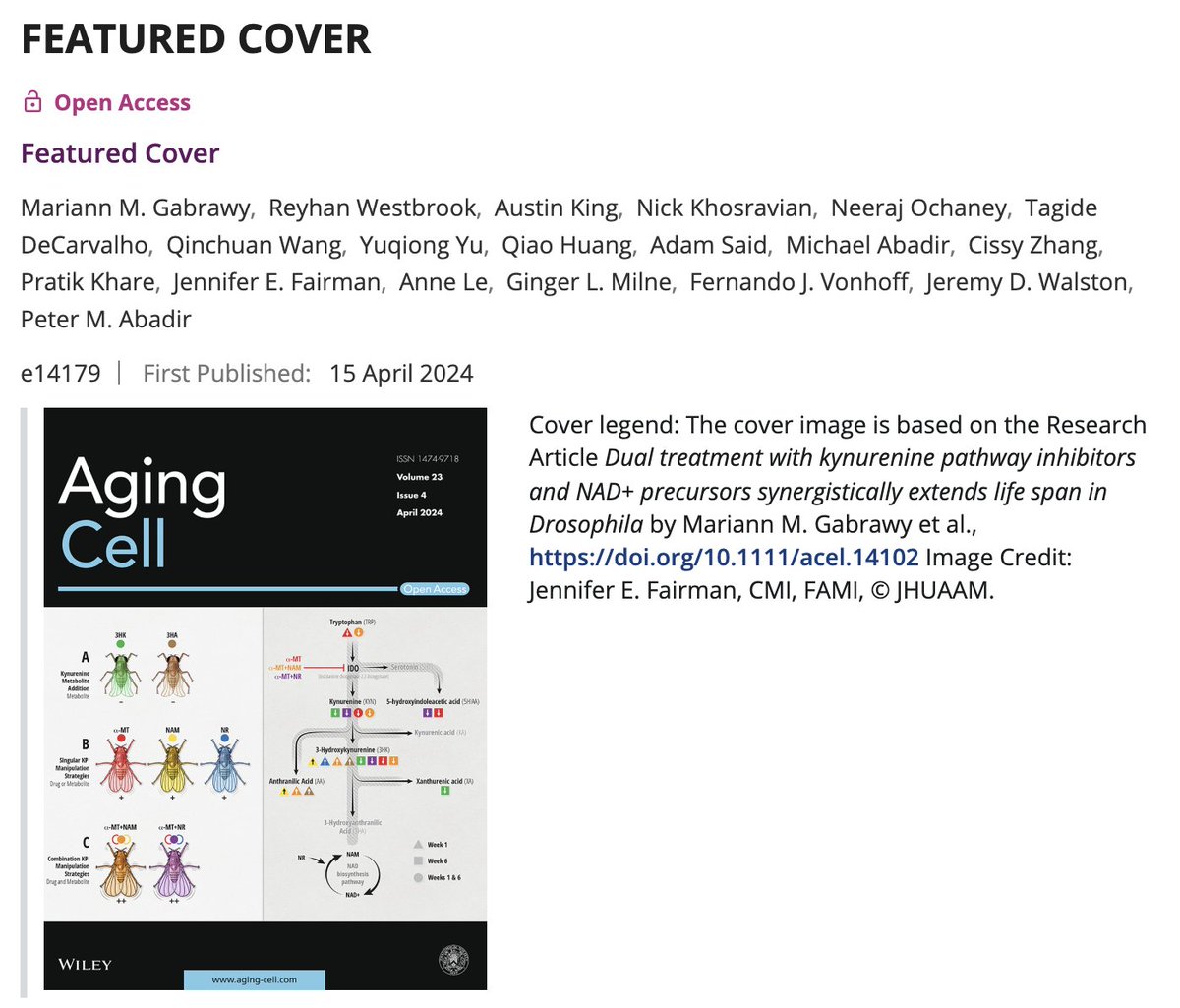 Jennifer E. Fairman, CMI, FAMI (@fairmanstudios) on Twitter photo Another great collaboration and the featured cover with <a href="/Rock1MD/">Peter Abadir</a> Reyhan Westbrook, Mariann Gabrawy, <a href="/JeremyWalstonMD/">Jeremy Walston MD</a> et. al. #kynurenine #NAD #frailty #geriatricmedicine onlinelibrary.wiley.com/doi/10.1111/ac… Another great collaboration and the featured cover with <a href="/Rock1MD/">Peter Abadir</a> Reyhan Westbrook, Mariann Gabrawy, <a href="/JeremyWalstonMD/">Jeremy Walston MD</a> et. al. #kynurenine #NAD #frailty #geriatricmedicine onlinelibrary.wiley.com/doi/10.1111/ac…
