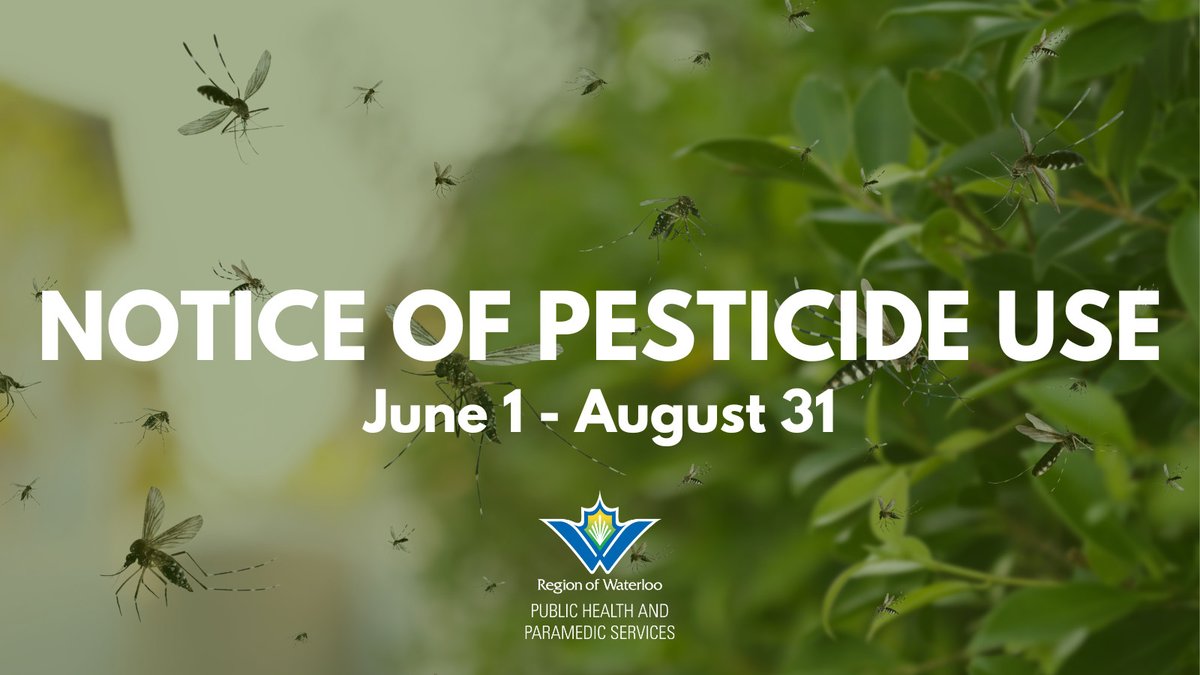 Notice of pesticide use: Between June 1, 2024 and August 31, 2024, larvicide will be used on catch basins, sewage lagoons, and ditches/standing water to prevent the development of mosquito larvae and to control West Nile virus. For more info visit regionofwaterloo.ca/PesticideNotic…