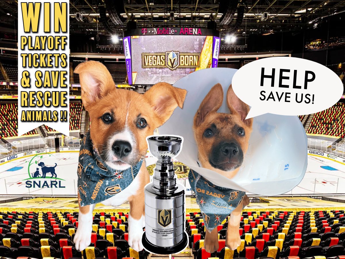 vanlouhou's tweet photo. Charity RAFFLE! VGK PLAYOFF TICKET RAFFLE https://t.co/h8opIH988R via @galabid #VegasBorn #uKnightTheRealm #vgk support local animal rescue by entering! https://t.co/1q83W1xu7x