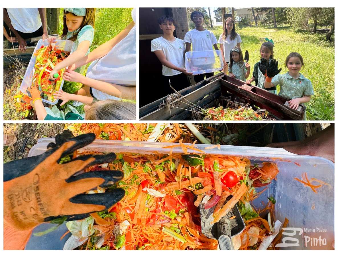 Bilingual Curriculum at St Julian's School tweet media