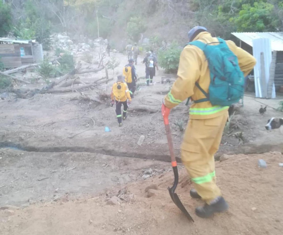 Este viernes continúan las labores para sofocar el incendio forestal que se registra en los terrenos del Parque Nacional El Veladero, #Guerrero con la participación de autoridades de los tres órdenes de gobierno.