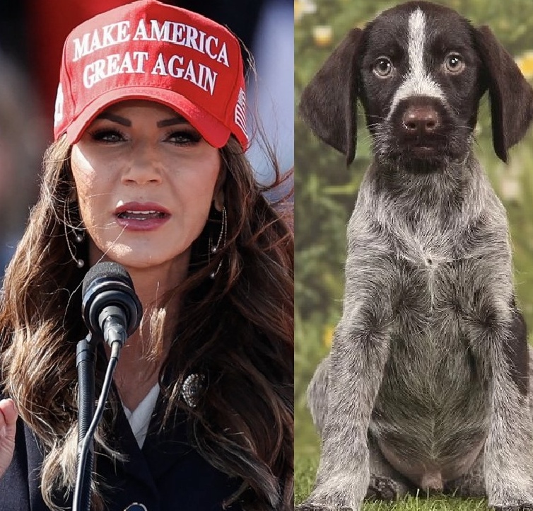 OccupyDemocrats's tweet image. BREAKING: MAGA Governor Kristi Noem desperately defends her decision to execute her dog Cricket for being "less than worthless" as a "hunting dog" and "untrainable."

"I hated that dog," Noem writes in her new book, which contains the shocking revelation that she shot him with a…