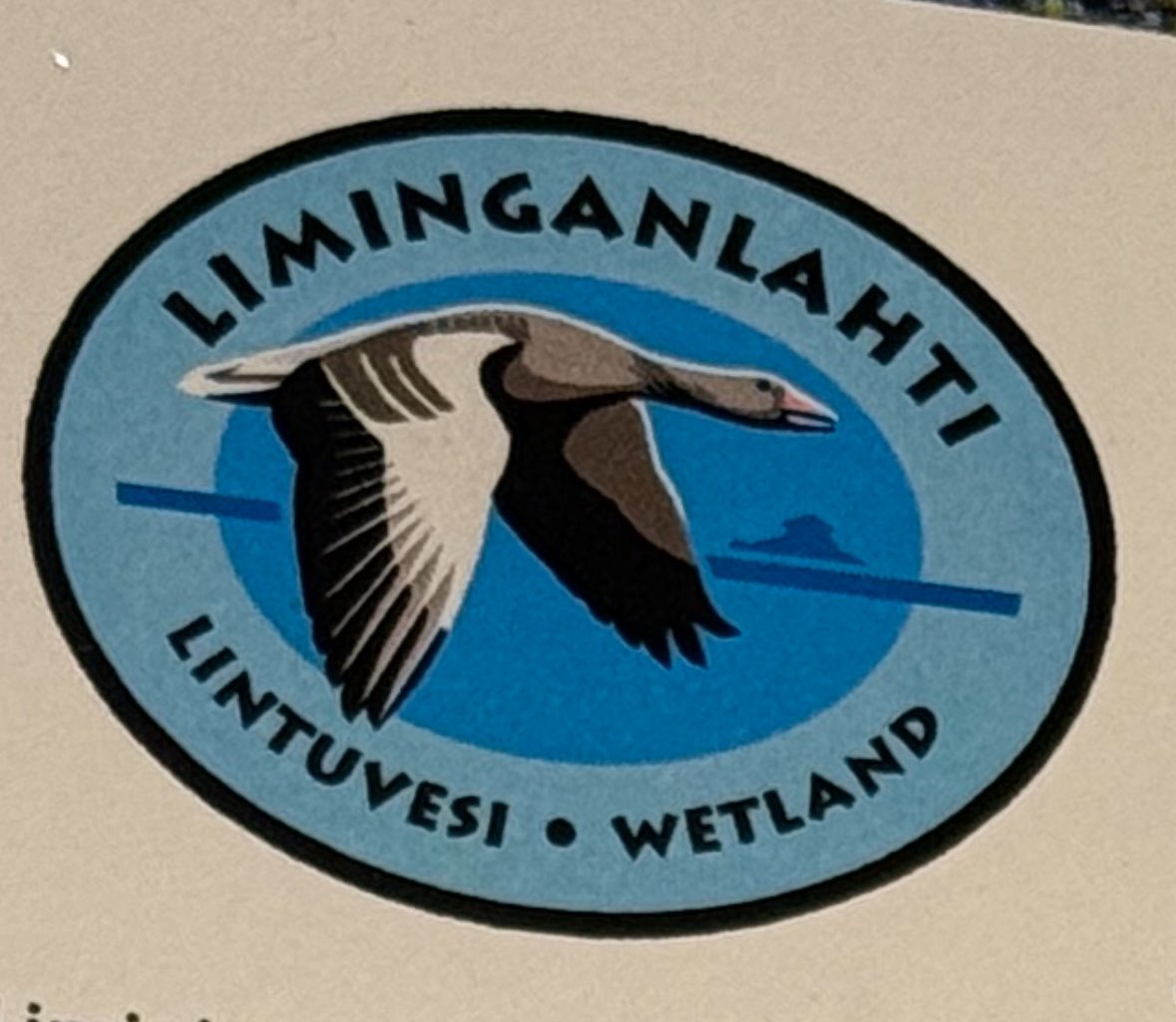 In Finland last week, at #Liminganlahti #Liminkabay we saw this Bean Goose with a white neck collar & transmitter, & 2 Greater Whitefronts with green neck collars @_EURING @_BTO @WWTworldwide #vizmig any contacts for these ringing schemes to send onto?