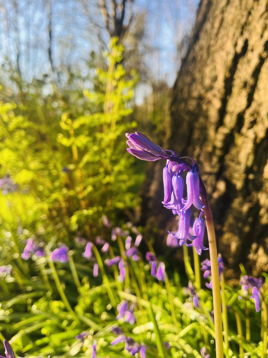 Andy Jaffrey tweet media