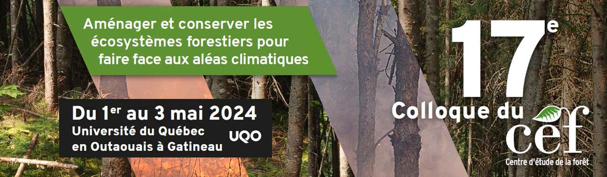 Le #ColloqueCEF est dans quelques jours. Tout ce que vous devez savoir est ici ➡️ cef-cfr.ca/pmwiki.php?n=A… @UQO