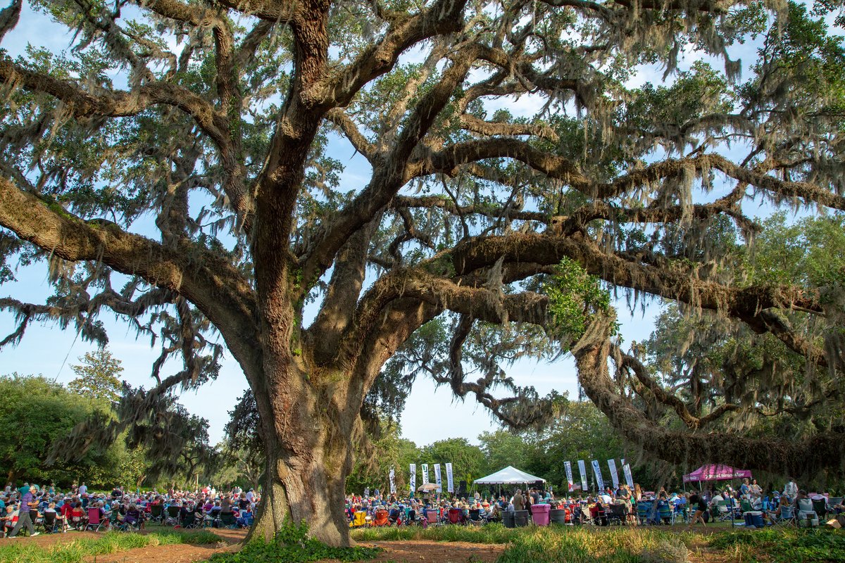 Airlie Gardens just announced the 2024 Summer Concert Series, celebrating live music and fun all under the beautiful Airlie Oak. Check out the official lineup, get ticket information, and learn more: AirlieGardens.org/events/summer-…