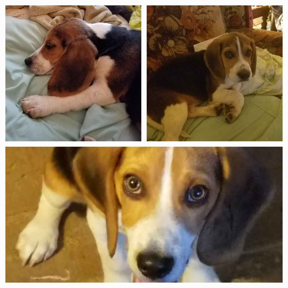 DeniseWaltsMom🌊🇺🇦☮ tweet media