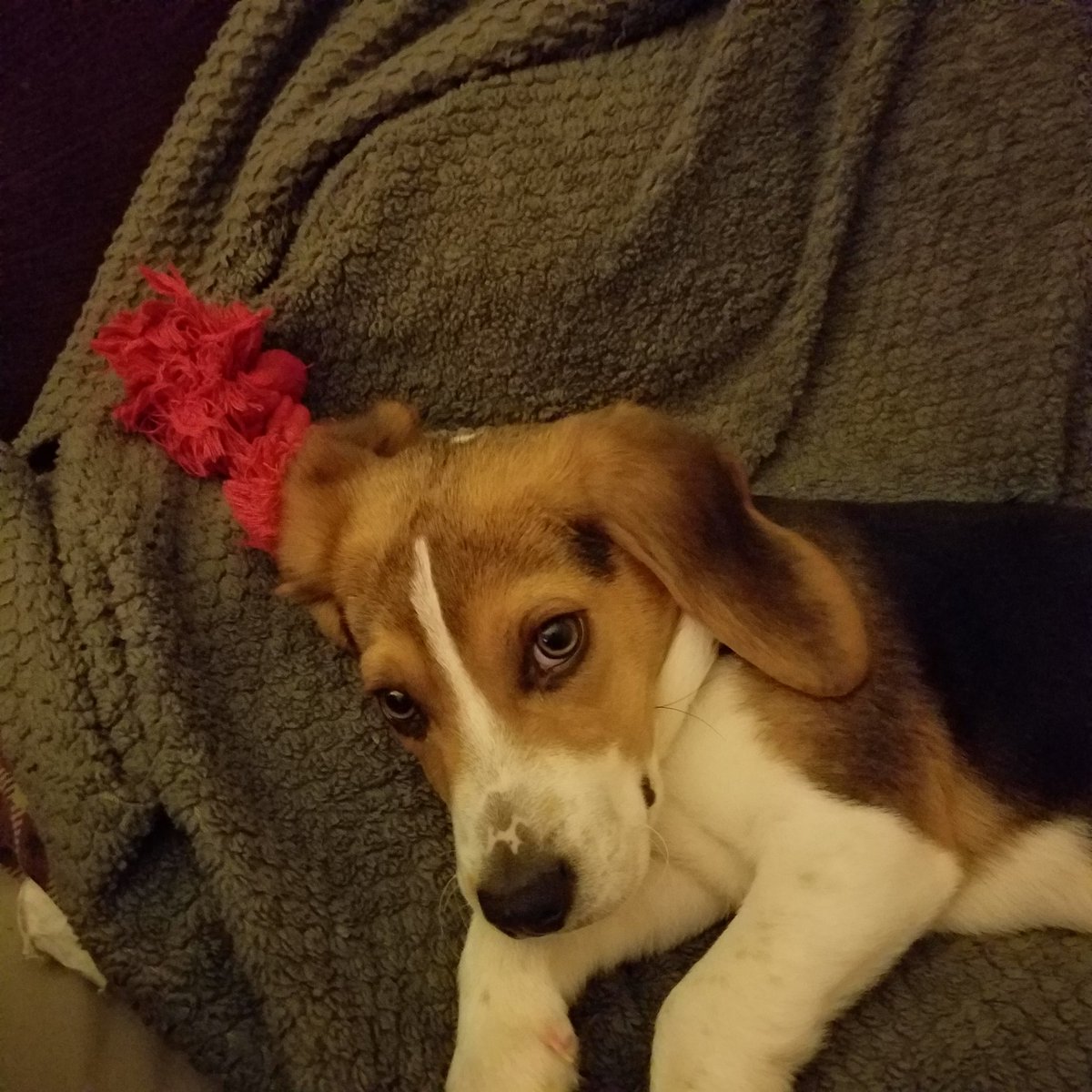 DeniseWaltsMom🌊🇺🇦☮ tweet media