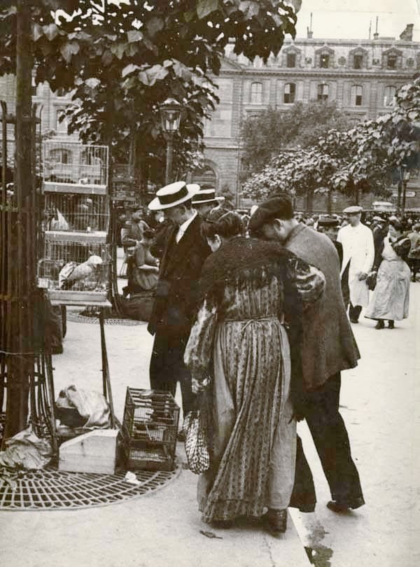 Marché aux Oiseaux, Île de la Cité. 1910. Paris