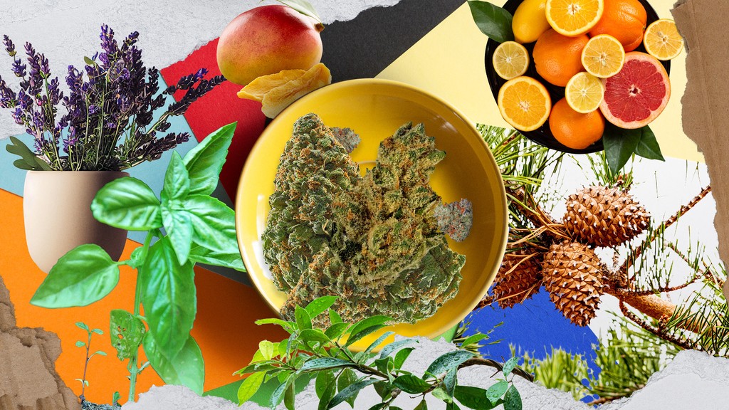 What are terpenes and how do they effect the way we smoke? veriheal.com/blog/terpenes/