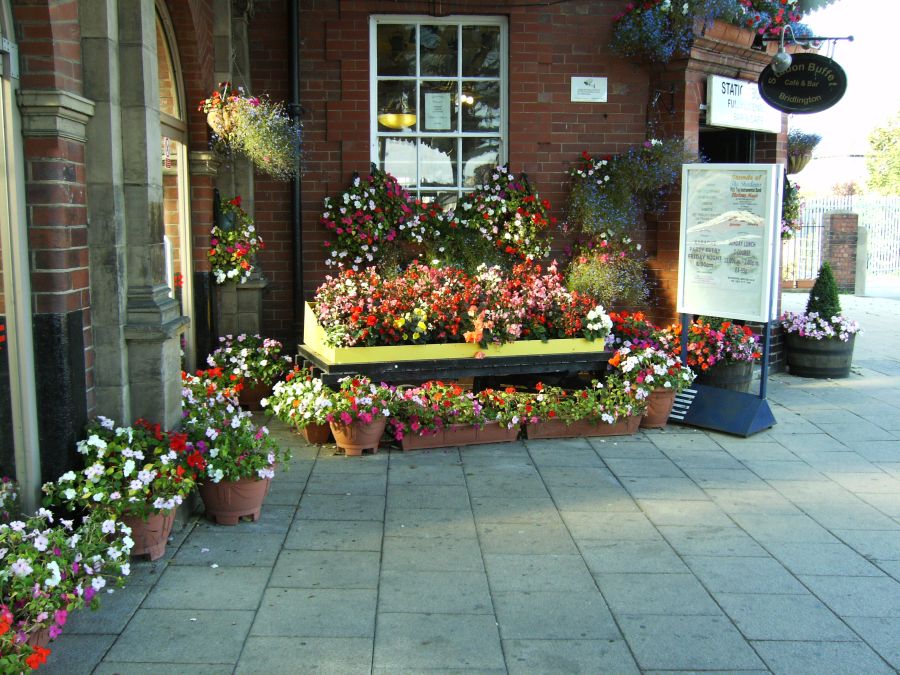 06-09-07 BRIDLINGTON.
Flowers at the railway station.
#Bridlington #Railways #railwaystation #flowers #Yorkshire #NorthYorkshire