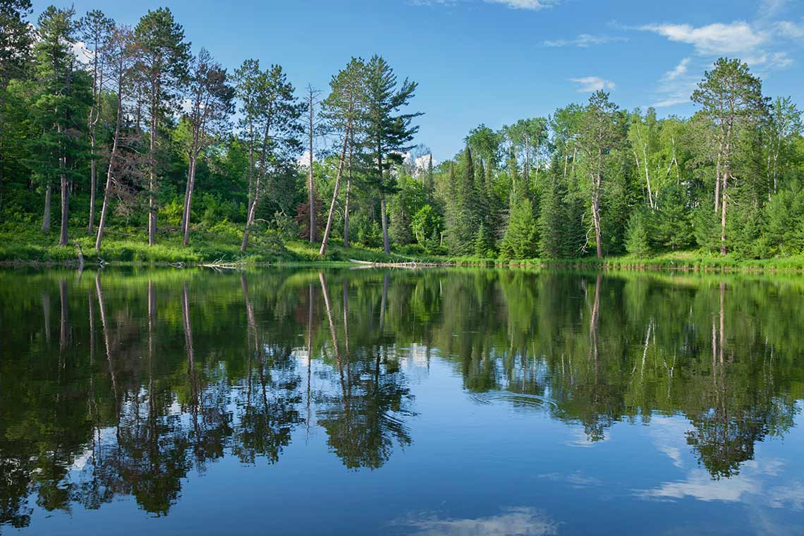 #MNLottery dollars through the @mnenrtf help maintain #MN rural & urban forests by funding studies identifying ways to maximize benefits to wildlife, water quality, timber production & native plant communities. bit.ly/3KxFjct #MNLotteryDollarsAtWork #NationalArborDay