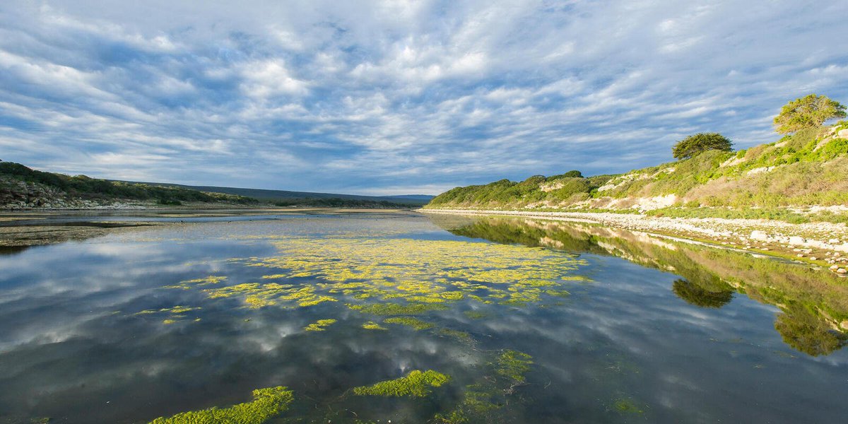 Discover the significance of wetlands as vital ecosystems for water filtration, carbon storage, & habitat preservation. 🌱🌊🌴 Learn about the challenges they confront in this factsheet by @WWF: ➡️tinyurl.com/2d9tbewr