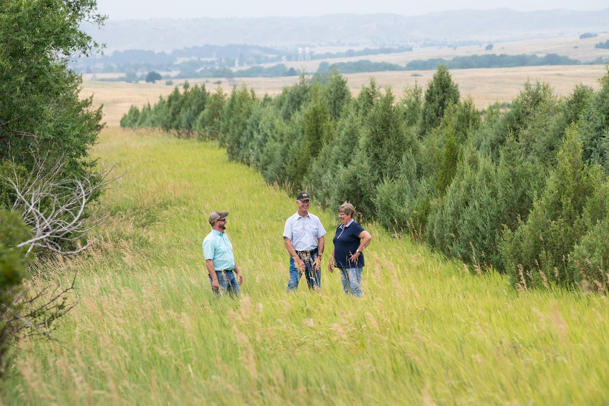 This #ArborDay, consider planting trees on your farm or ranch! 🌳 🌲 🍃 NRCS can help you with selection and design for windbreaks and shelterbelts. Learn more at: bit.ly/3QmHCRQ