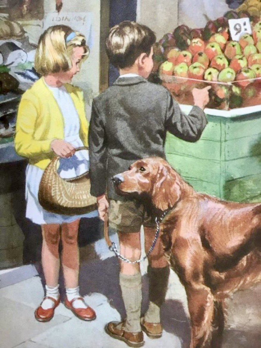 Beautiful everyday Ladybird things. The gondola basket (1965) Artist: Harry Wingfield