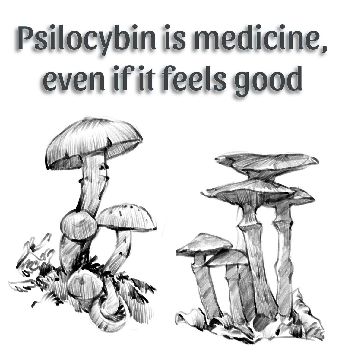 Psilocybin is the future of mental healthcare treatment 👨‍🚀🍄