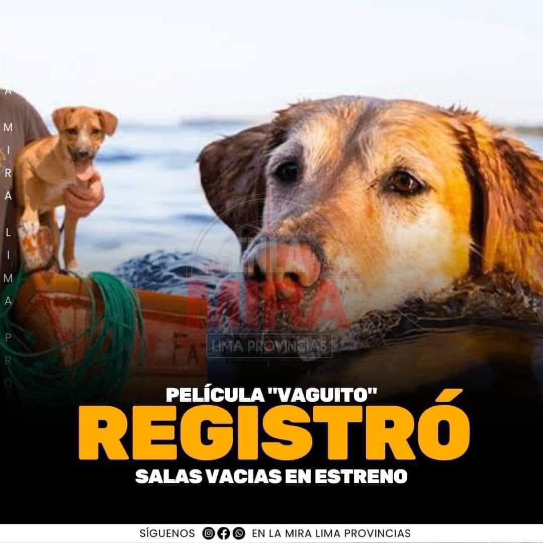 Todos los que tengan la oportunidad de ir a ver “Vaguito” no se la pierdan. Es una película benéfica para animalitos en situaciones complicadas. Creo que por ahora sólo está en perú, así que si pueden ir mi gente Peruana. Se ganan el cielo!!