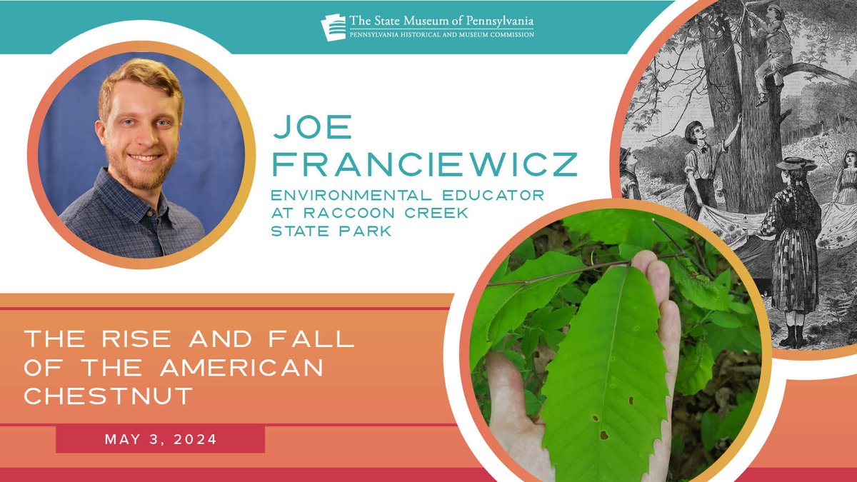 Join us for a free, virtual Learn at Lunchtime program on Friday, May 3 at 12:15 PM with Joe Franckiewicz, environmental educator with @DCNRnews to learn about the history and ecology of the American chestnut tree. Register➡️statemuseumpa.org/event/virtual-… #raccooncreekstatepark