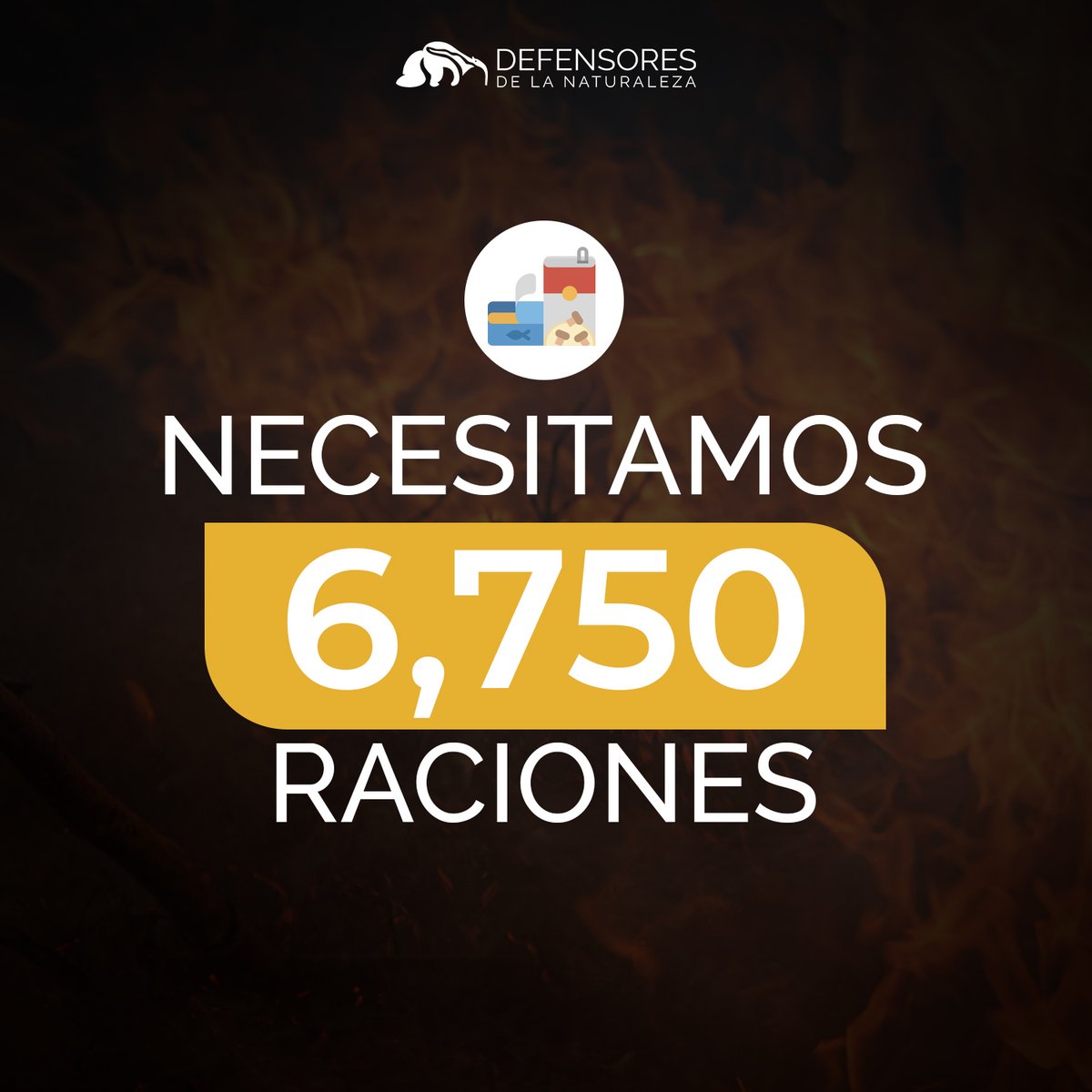 Defensores_FDN tweet picture