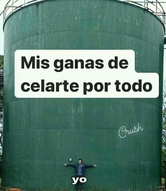 solo estoy cuidando