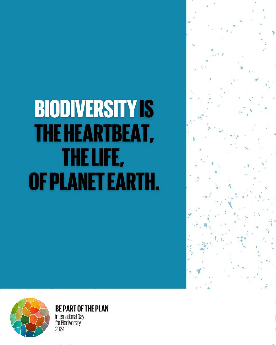 Biodiversity connects us all🌎🌍🌏🧩 But what is #biodiversity? Learn more on how you can be #PartOfThePlan with the #BiodiversityPlan goals & targets⬇️ cbd.int/biodiversity-d…