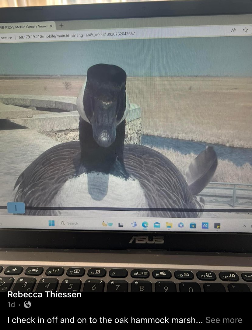 OakHammockMarsh's tweet photo. Rooftop camera photobomb! https://t.co/ygsHZFNfJp