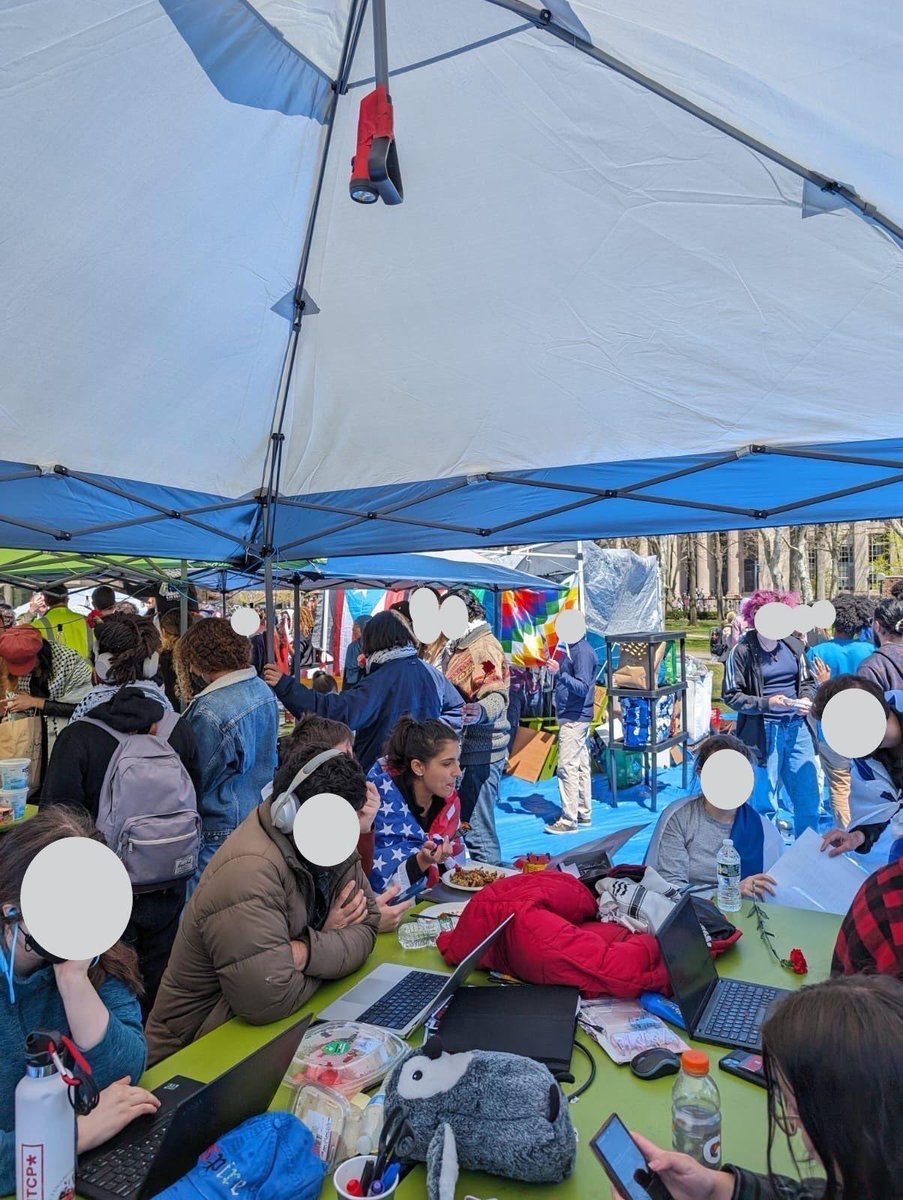 This you? In the MIT Gaza solidarity encampment?