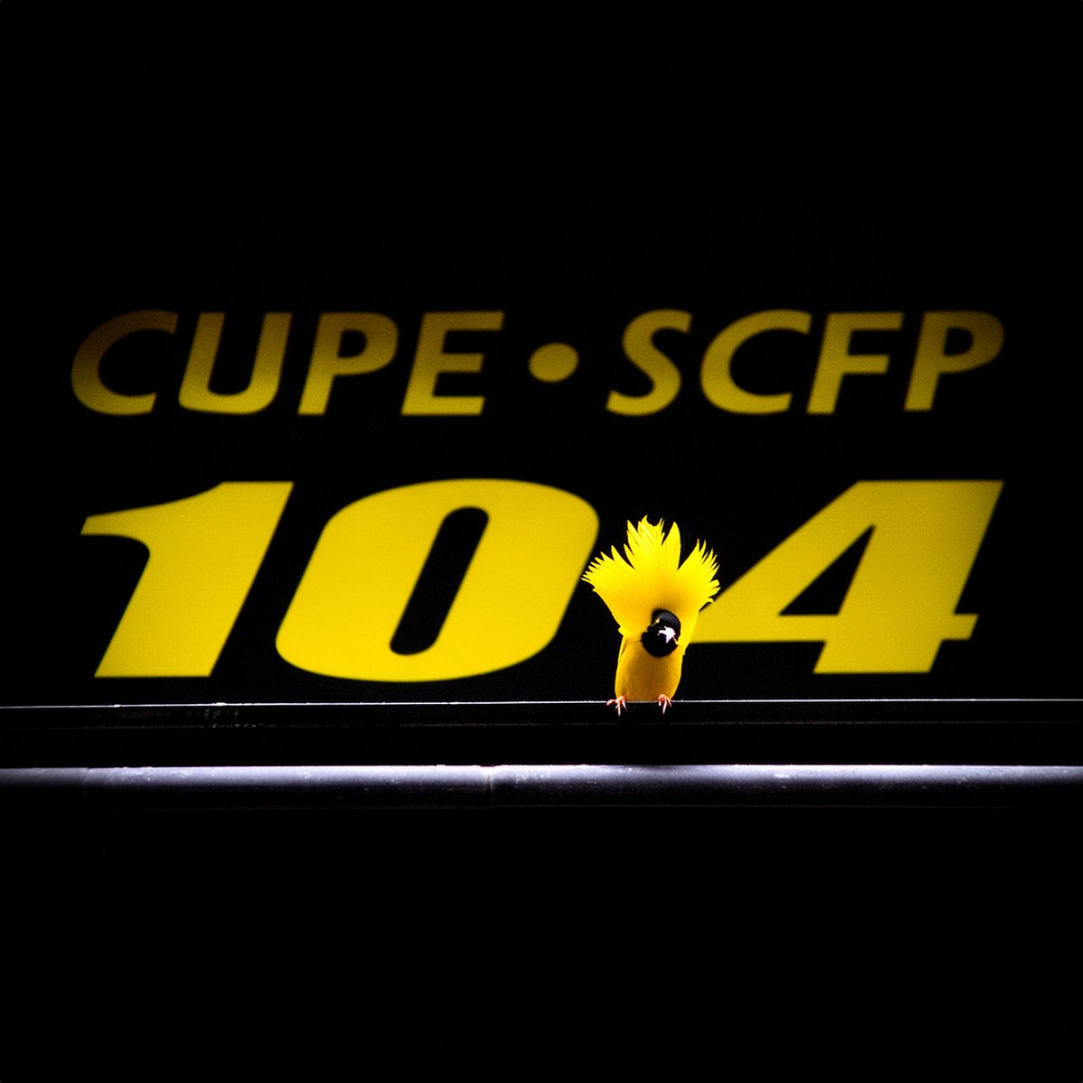 À l’approche du 28 avril, le Jour de deuil national, prenons un moment pour réfléchir à l’importance de cette journée. C’est l’occasion de se souvenir de ceux qui ont perdu la vie, qui ont été blessés ou qui sont tombés malades à cause de leur travail.